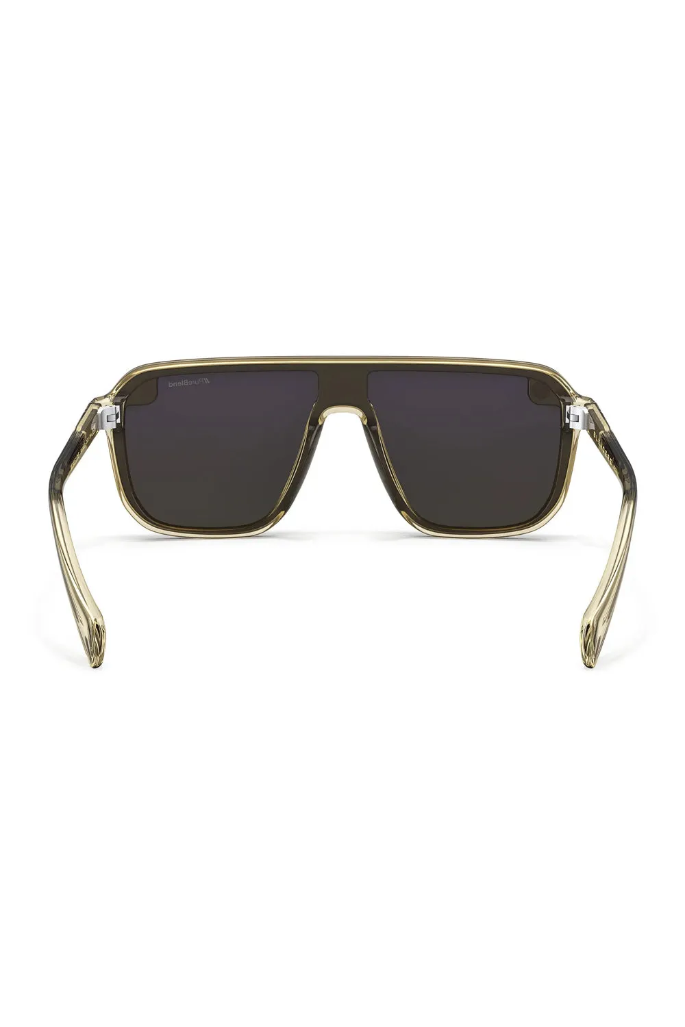 Blenders Meister x2 Sunglasses in Tan | 208005BX299KL