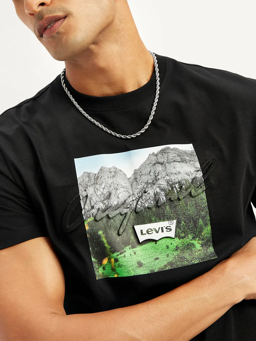 Men's Graphic Print Regular Fit T-Shirt LEVI'S